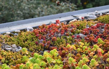 the cost of Hycemoor green roof installation