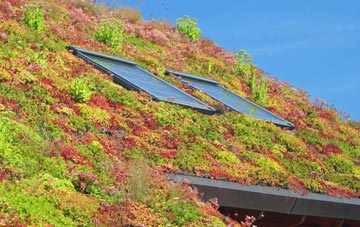Hycemoor living roof systems
